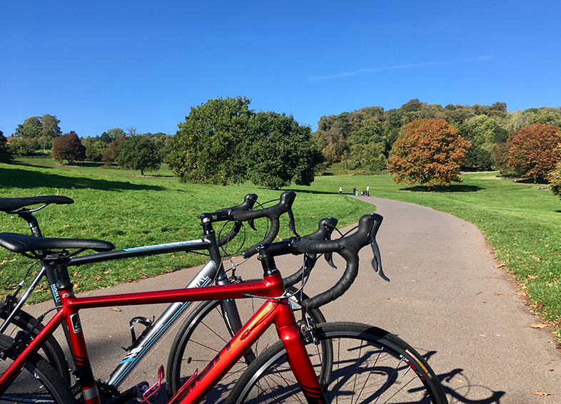 roadbikes